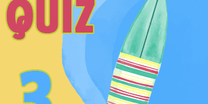 Surfing Quiz 3 Surfing Quiz 3