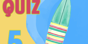 Surfing Quiz 5
