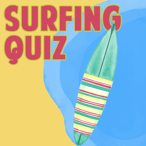 Surfing Quiz
