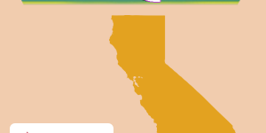 california california