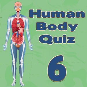 Human Body Facts 6