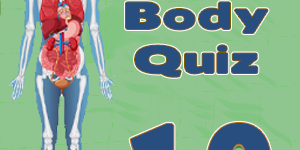 Human Body Facts10 Human Body Facts10
