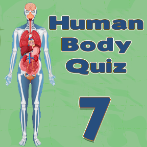 Human Body Facts7