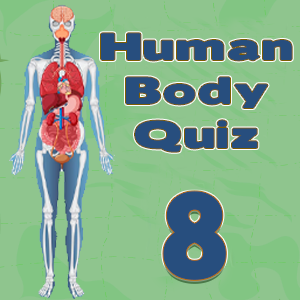 Human Body Facts8
