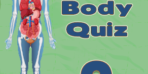 Human Body Facts9 Human Body Facts9