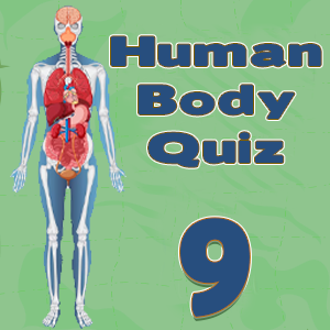 Human Body Facts9