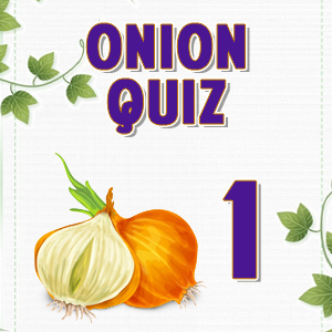 Onion 1