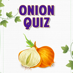 Onion