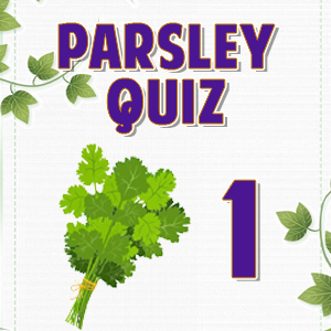 Parsley 1