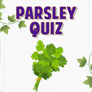 Parsley