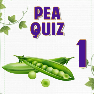 Pea 1