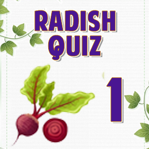 Radish 1 Radish 1