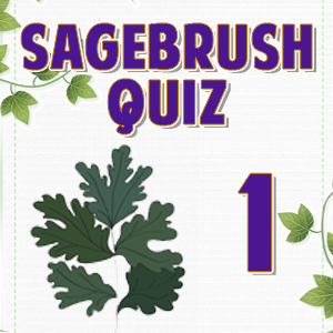 Sagebrush 1 Sagebrush 1