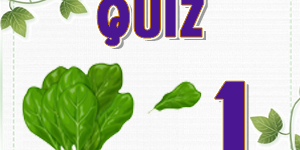 Spinach 1