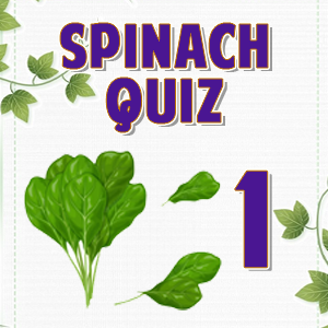 Spinach 1
