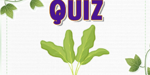 kohlrabi quiz