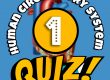 Human Circulatory System Quiz