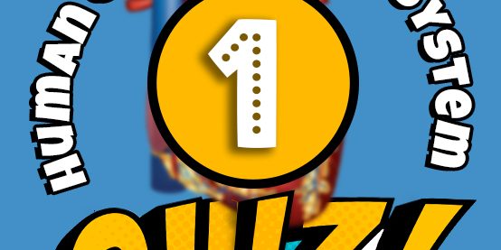 Human Circulatory System Quiz