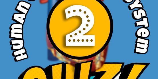 Human Circulatory System Quiz