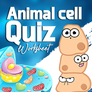 Animal_cell_quiz_worksheets Animal_cell_quiz_worksheets