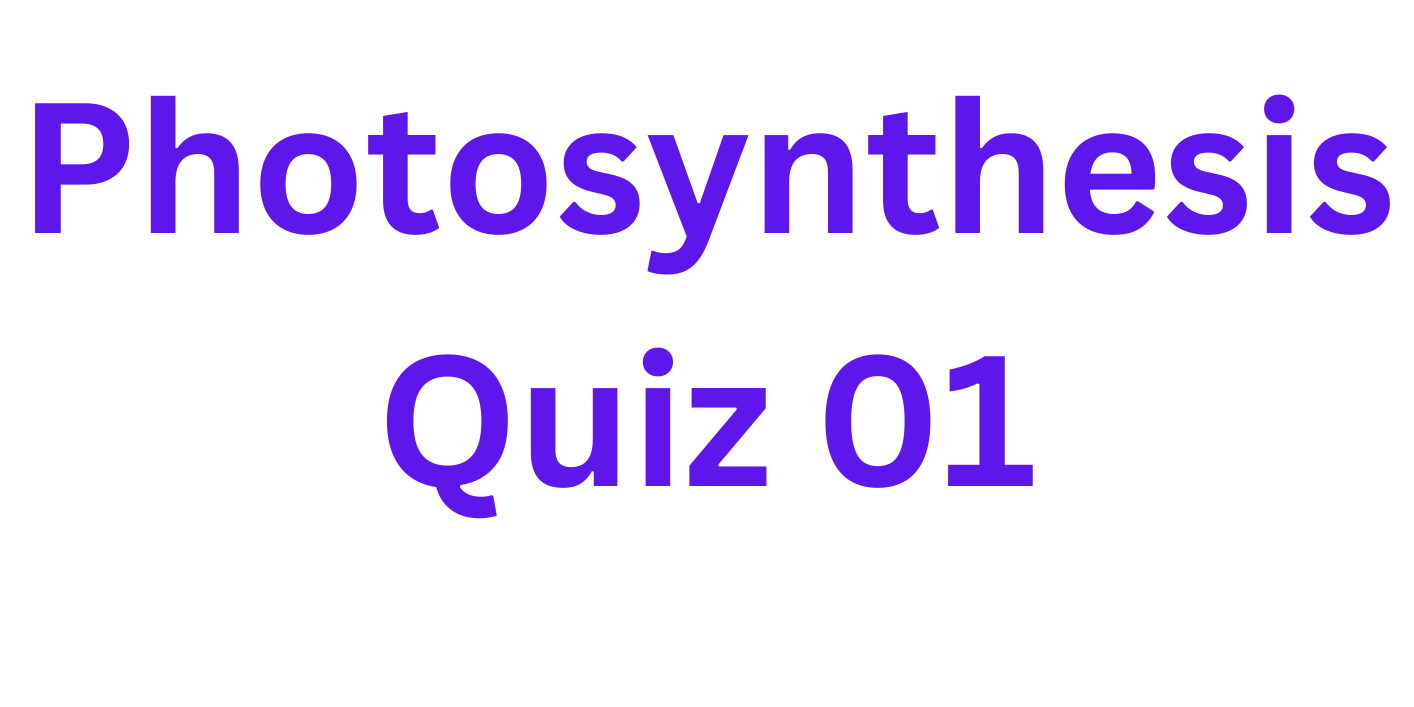 Photosynthesis Quiz 01