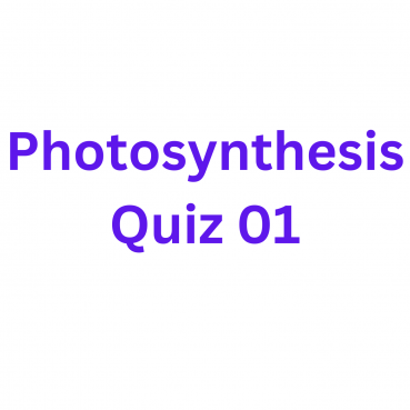 Photosynthesis Quiz 01