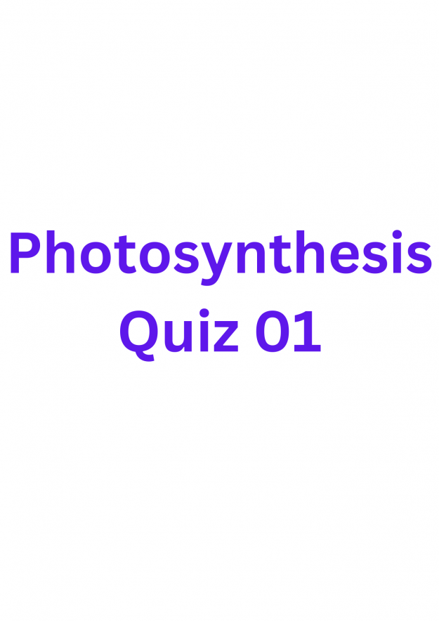 Photosynthesis Quiz 01