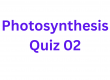 Photosynthesis Quiz 02