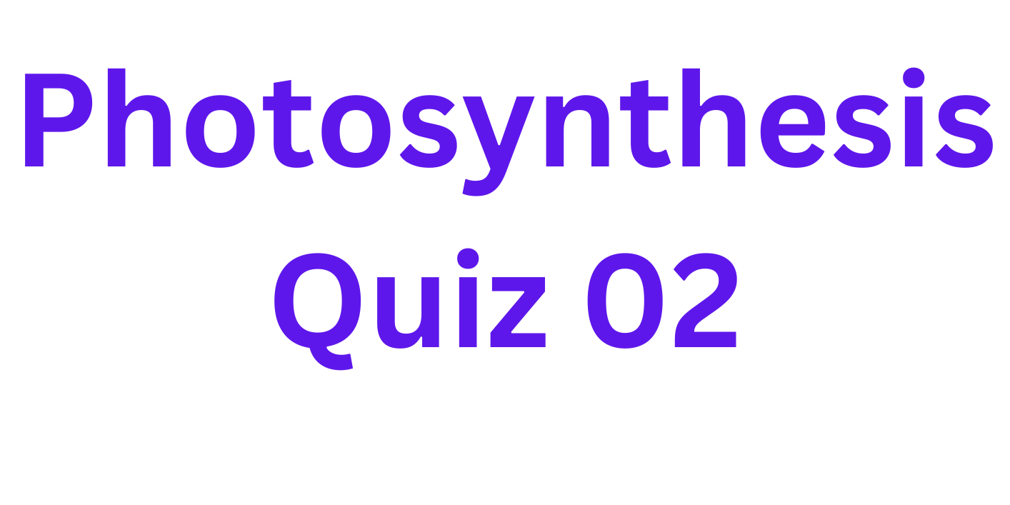Photosynthesis Quiz 02 Photosynthesis Quiz 02