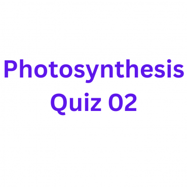 Photosynthesis Quiz 02
