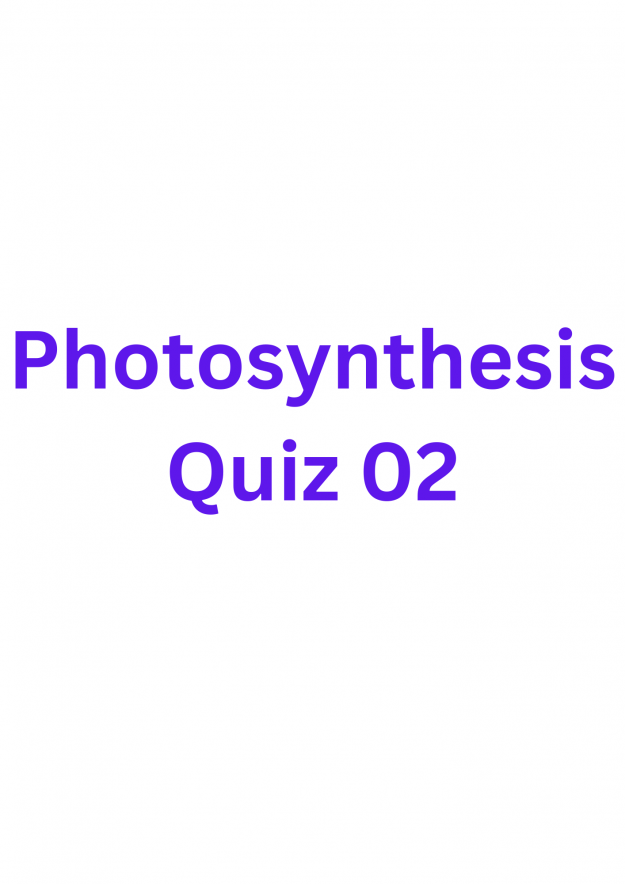 Photosynthesis Quiz 02