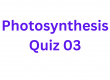 Photosynthesis Quiz 03