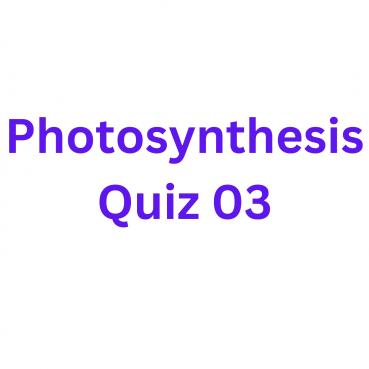 Photosynthesis Quiz 03