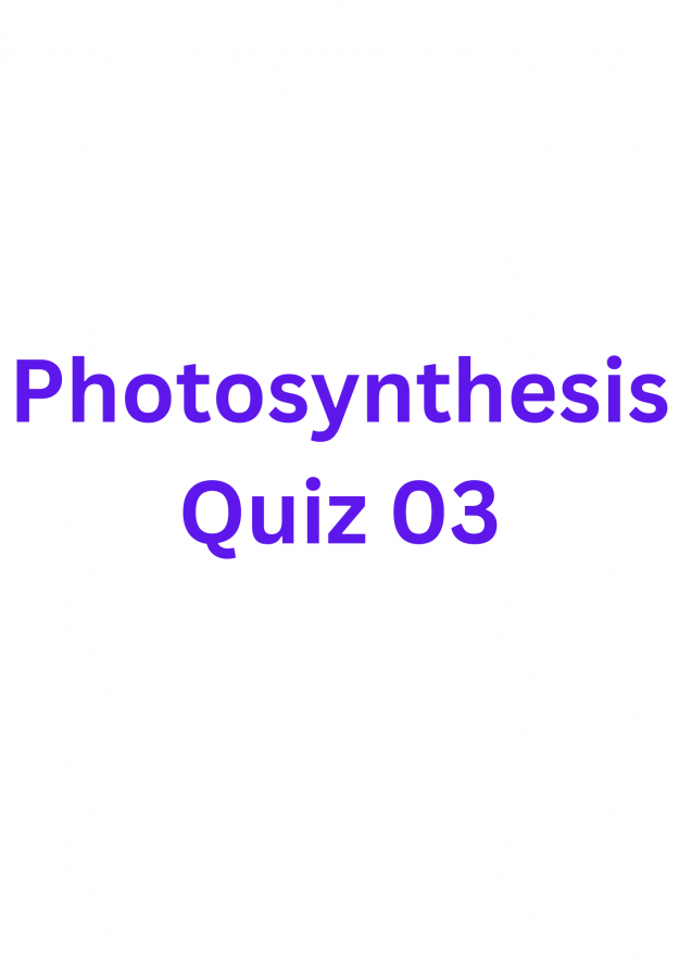 Photosynthesis Quiz 03