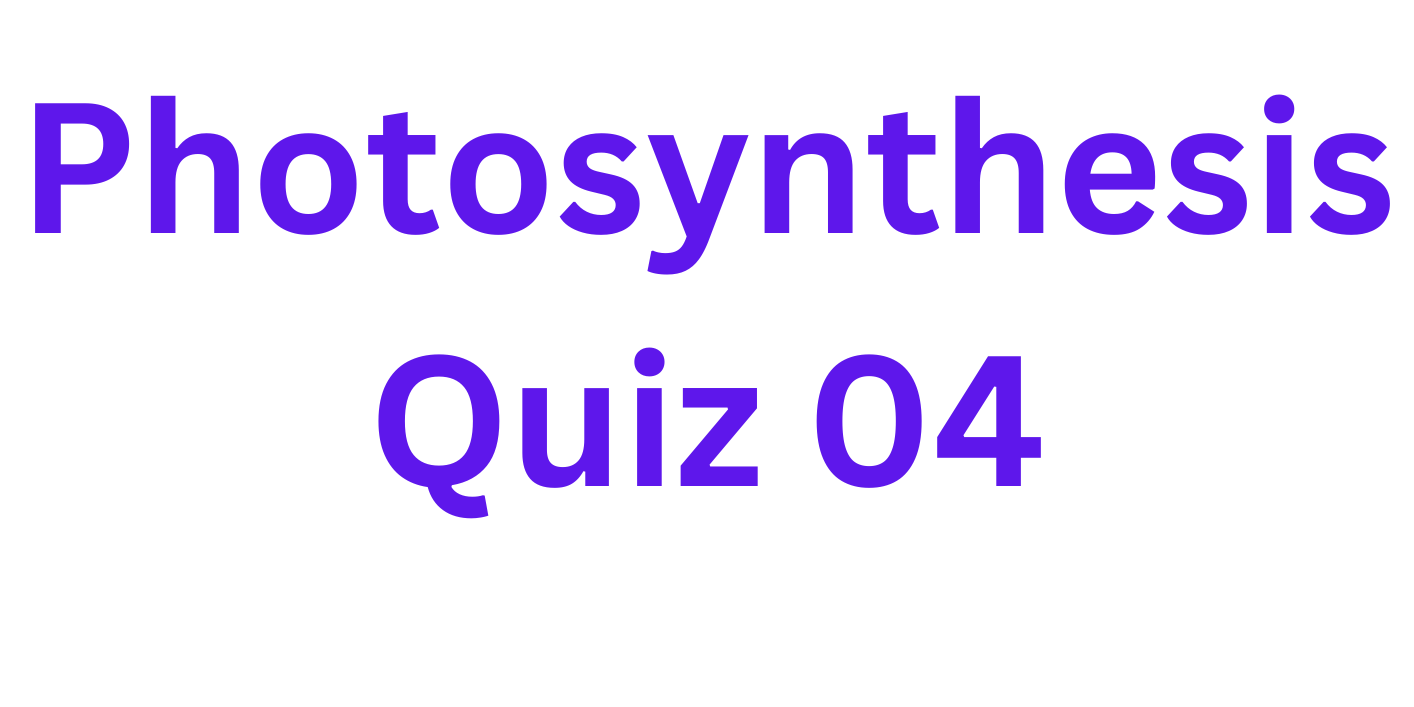 Photosynthesis Quiz 04 Photosynthesis Quiz 04