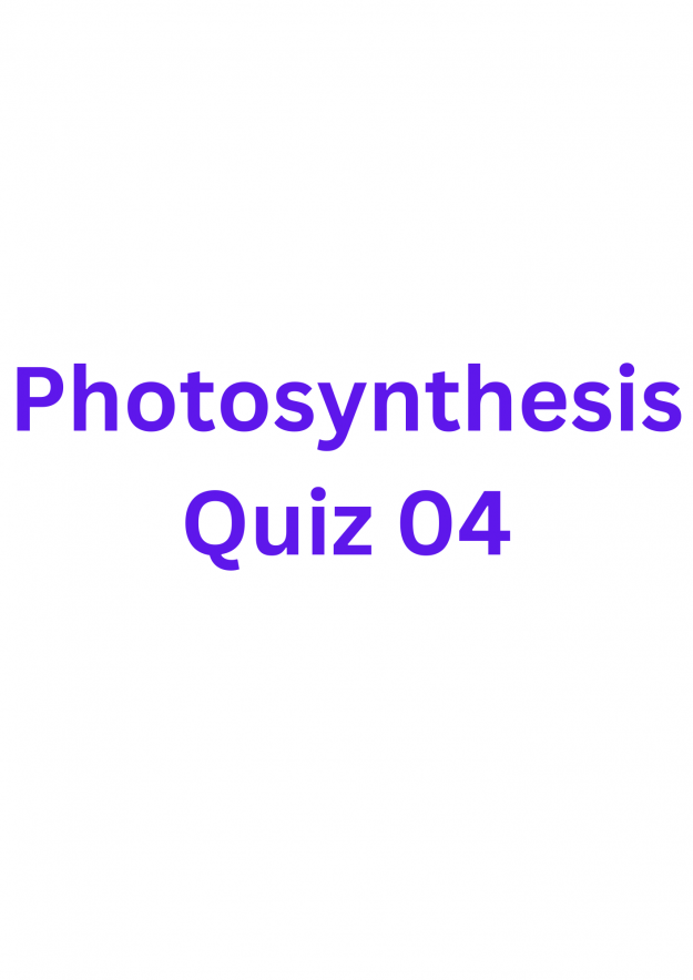 Photosynthesis Quiz 04