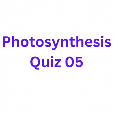 Photosynthesis Quiz 05