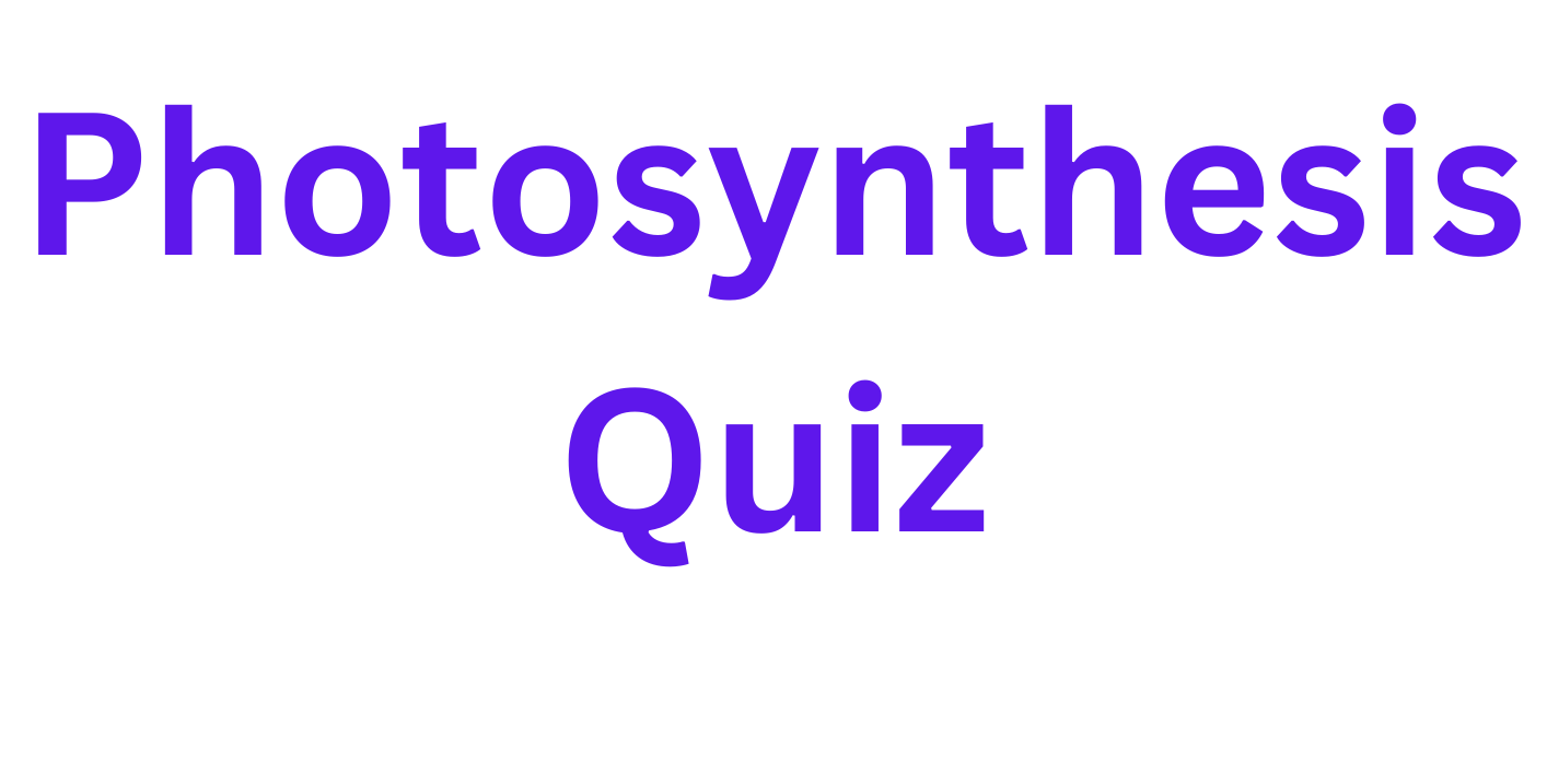 Photosynthesis Quiz