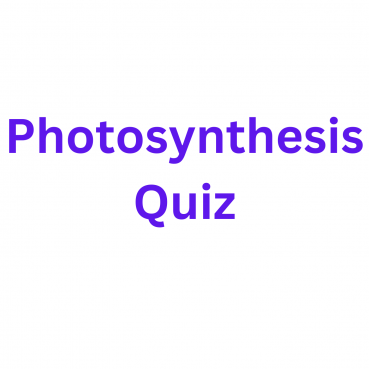 Photosynthesis Quiz Photosynthesis Quiz
