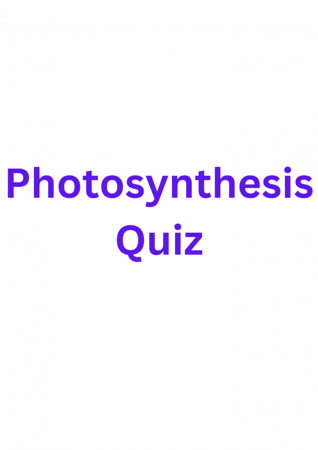 Photosynthesis Quiz
