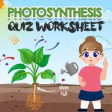 Photosynthesis quiz worksheets