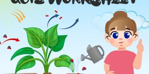 Photosynthesis quiz worksheets