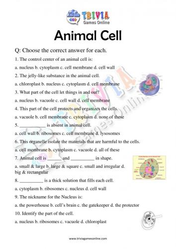 Animal-Cell-Quiz-Worksheets-Activity-01