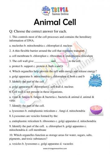 Animal-Cell-Quiz-Worksheets-Activity-02