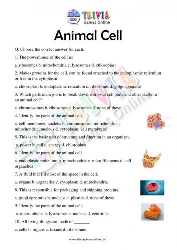 Animal-Cell-Quiz-Worksheets-Activity-03