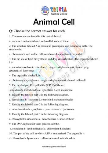 Animal-Cell-Quiz-Worksheets-Activity-04