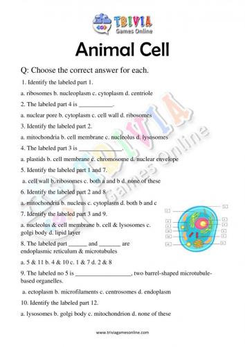Animal-Cell-Quiz-Worksheets-Activity-05
