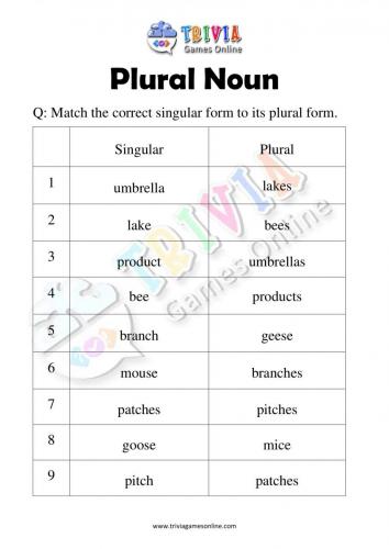 Plural-Noun-Quiz-Worksheets-Activity-03