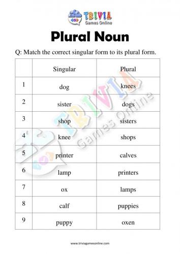 Plural-Noun-Quiz-Worksheets-Activity-06