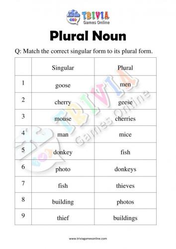 Plural-Noun-Quiz-Worksheets-Activity-08